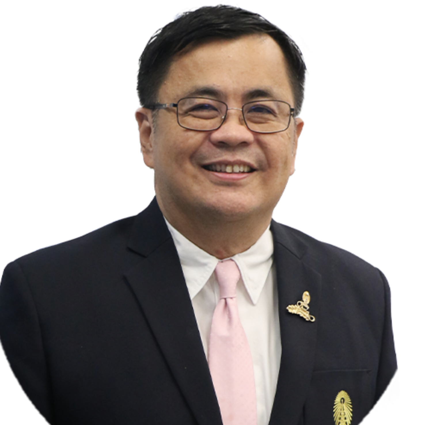 ศาสตราจารย์ ดร.วิเลิศ ภูริวัชร
